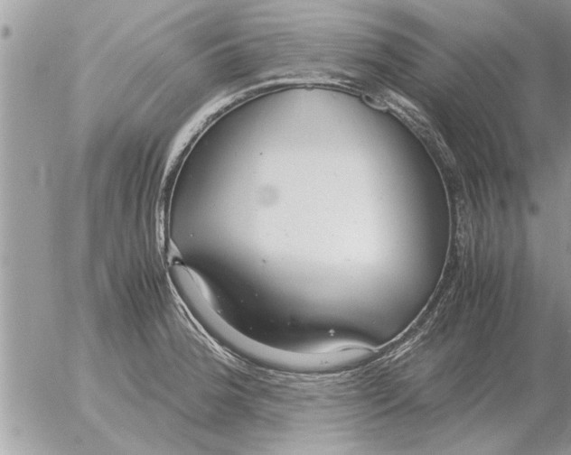 X0000052601188200507292115