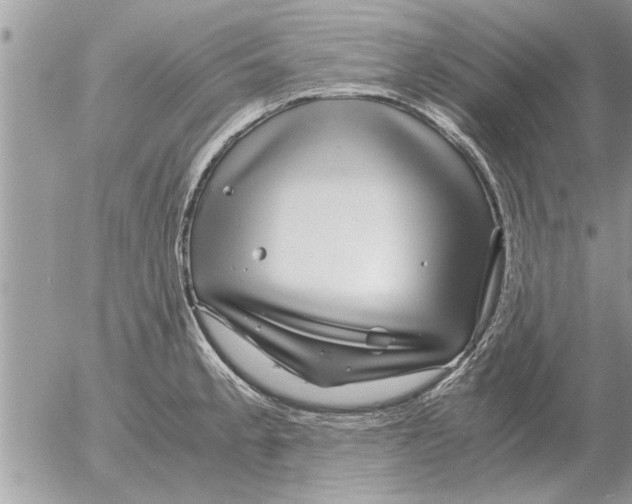 X0000052601189200507292115