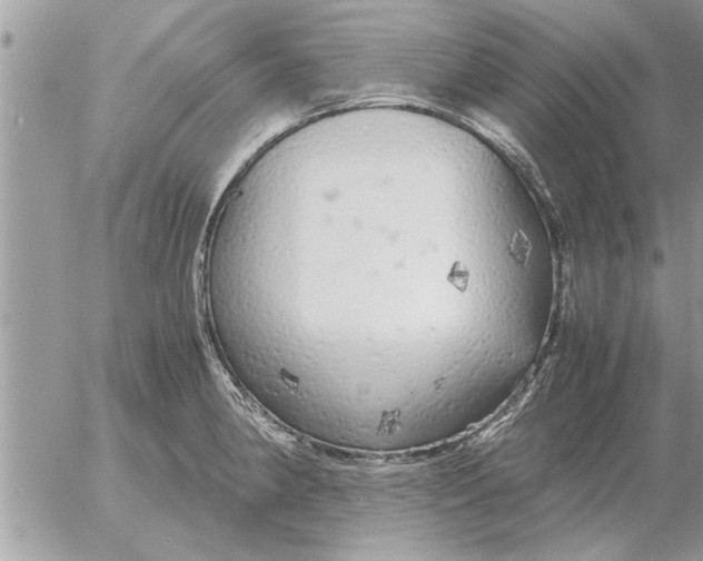 X0000052601190200507292115