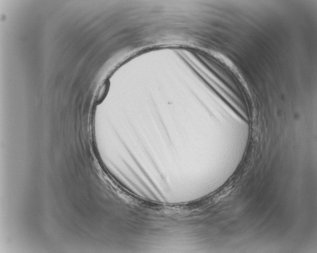 X0000052601191200507292115