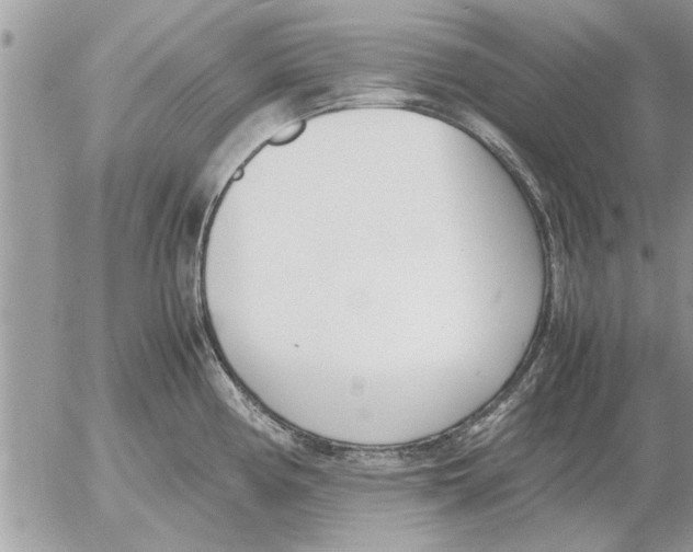 X0000052601194200507292115