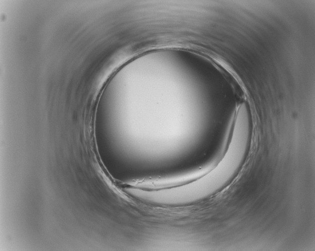 X0000052601197200507292115