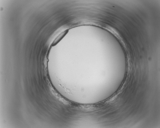 X0000052601198200507292115