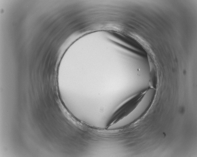 X0000052601200200507292115