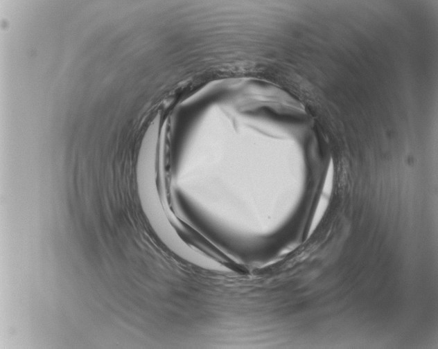 X0000052601202200507292114