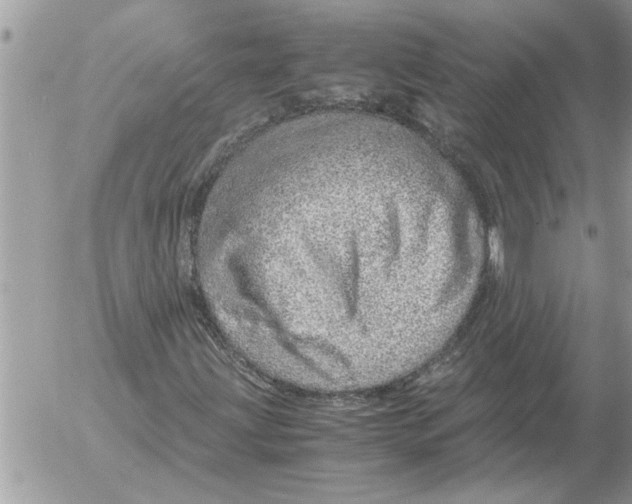 X0000052601203200507292114