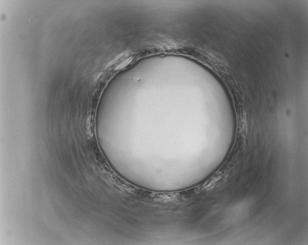 X0000052601205200507292114