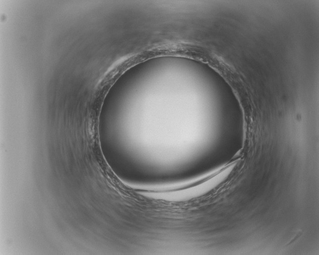 X0000052601206200507292114