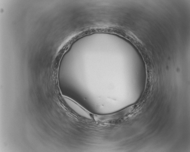 X0000052601208200507292114