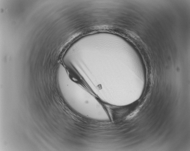 X0000052601209200507292114