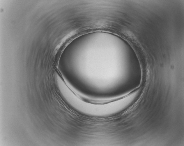 X0000052601210200507292114