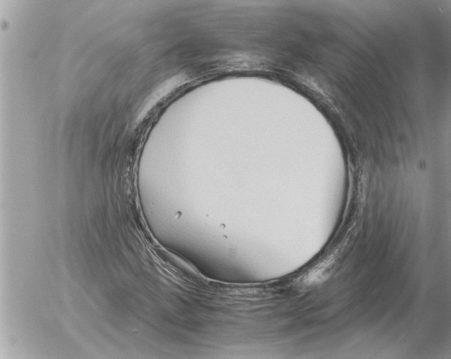 X0000052601211200507292114