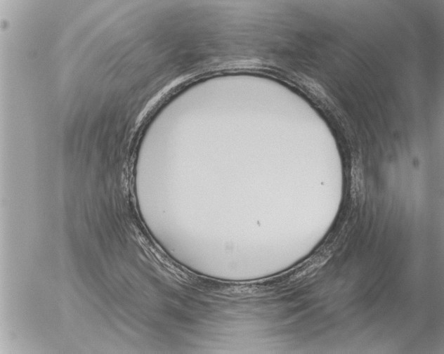 X0000052601212200507292114