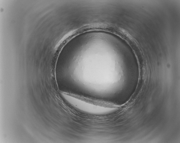 X0000052601213200507292114