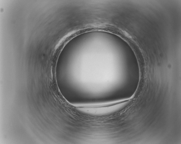 X0000052601214200507292114