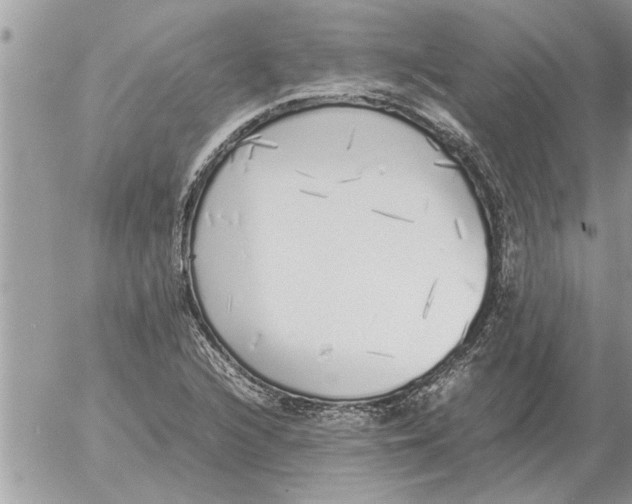 X0000052601216200507292114