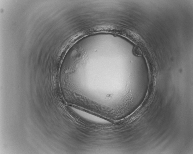 X0000052601217200507292114