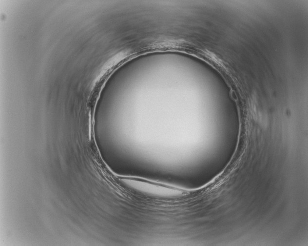 X0000052601219200507292114