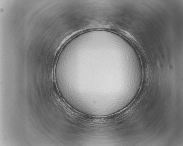 X0000052601220200507292114