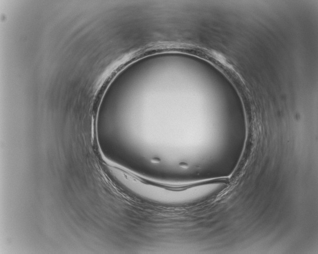 X0000052601221200507292114