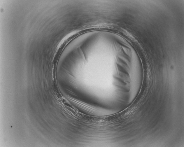 X0000052601222200507292114