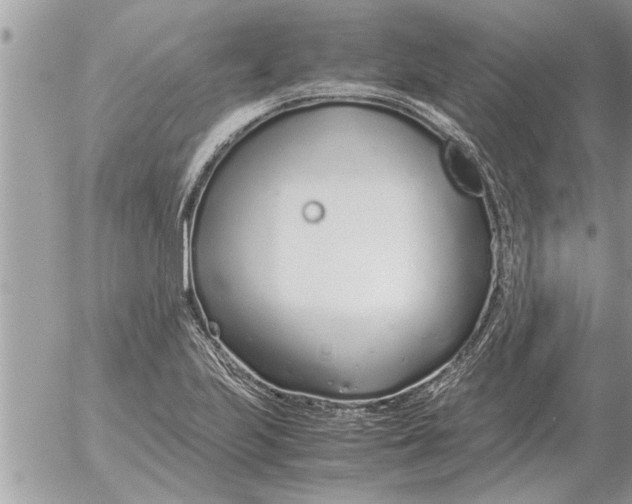 X0000052601223200507292114