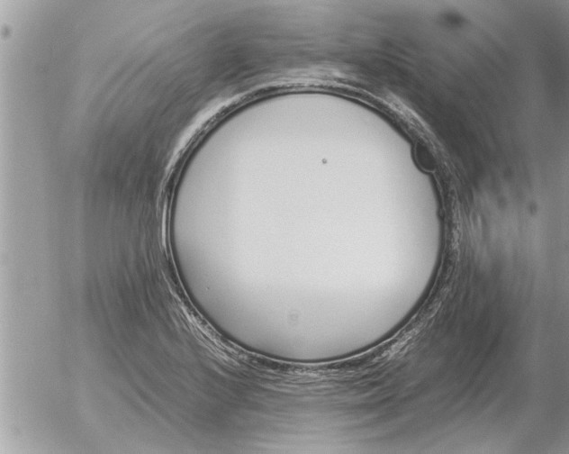 X0000052601224200507292114