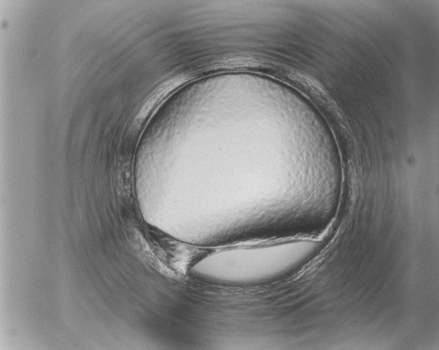 X0000052601225200507292114