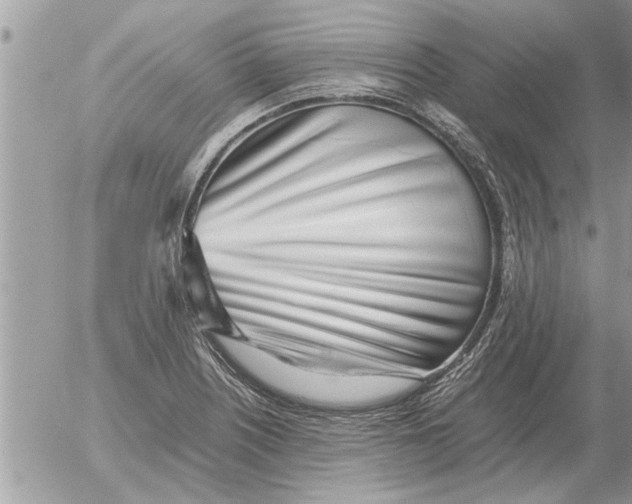 X0000052601226200507292114