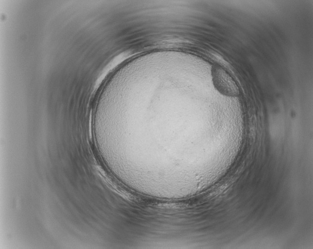 X0000052601227200507292114