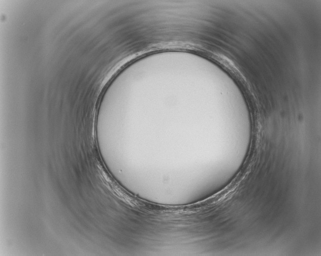 X0000052601228200507292114