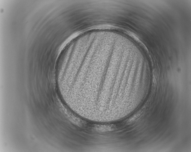 X0000052601229200507292114