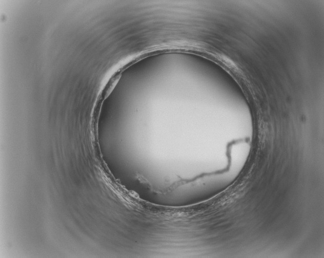 X0000052601230200507292114