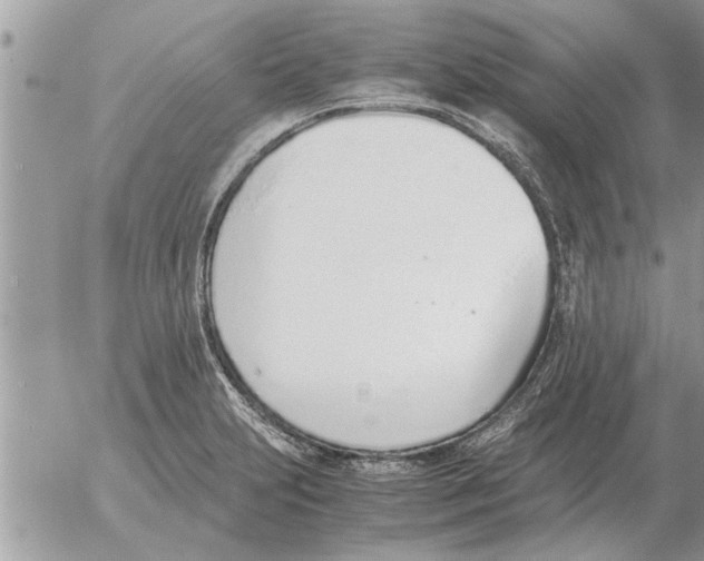 X0000052601231200507292114