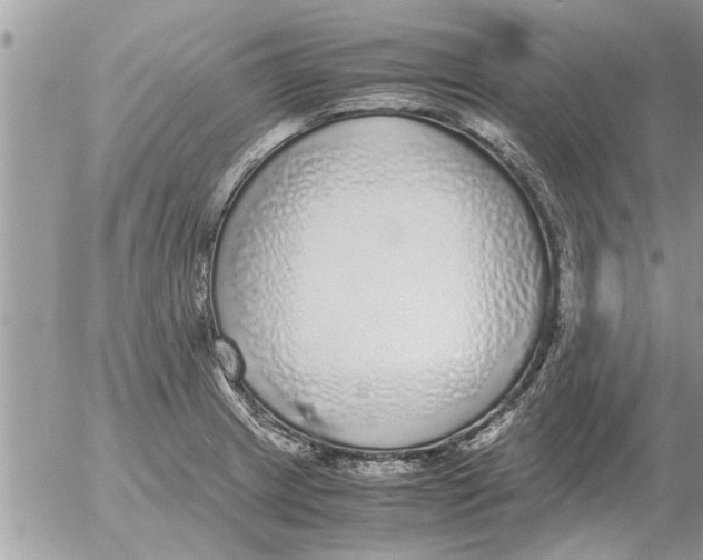 X0000052601233200507292114