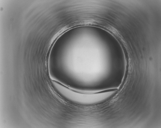 X0000052601234200507292114