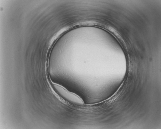 X0000052601237200507292114