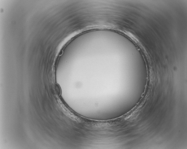 X0000052601238200507292114