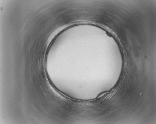 X0000052601239200507292114