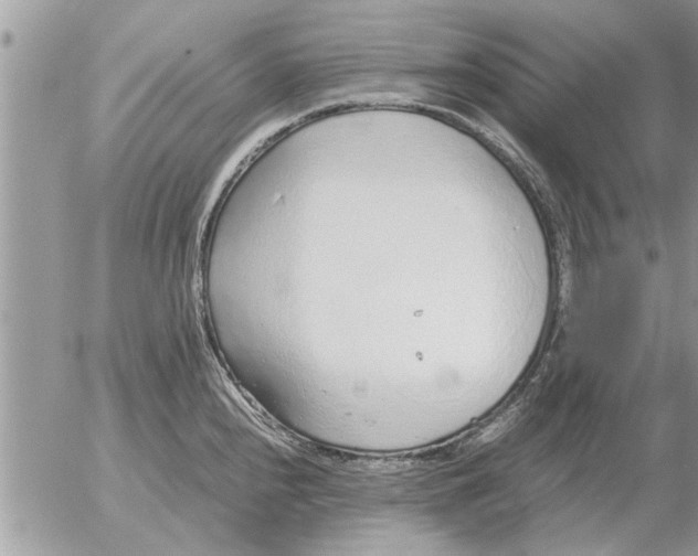 X0000052601240200507292114