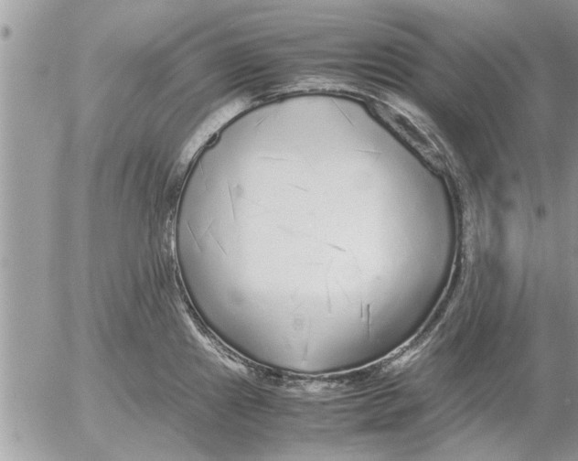 X0000052601241200507292115