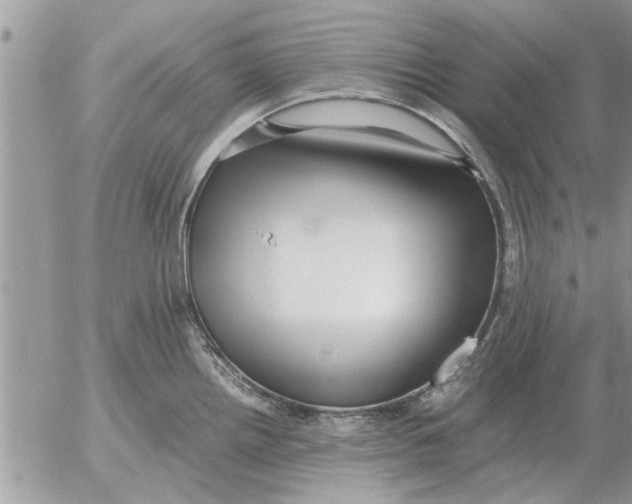 X0000052601242200507292115