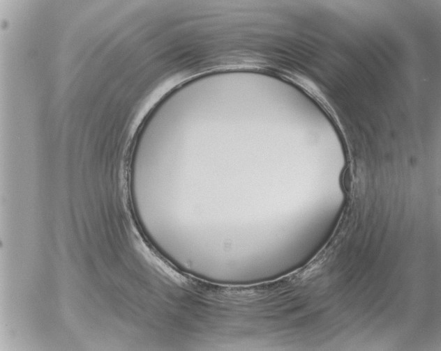 X0000052601243200507292115