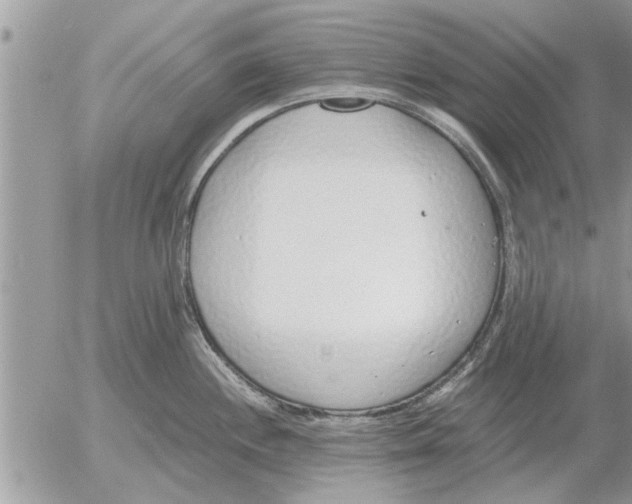 X0000052601244200507292115