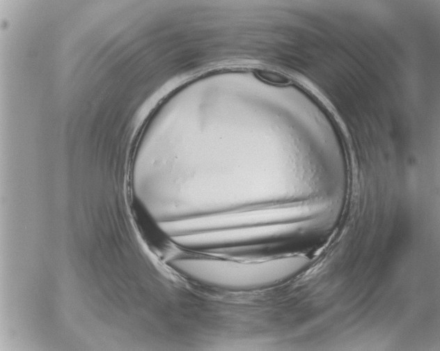 X0000052601245200507292115