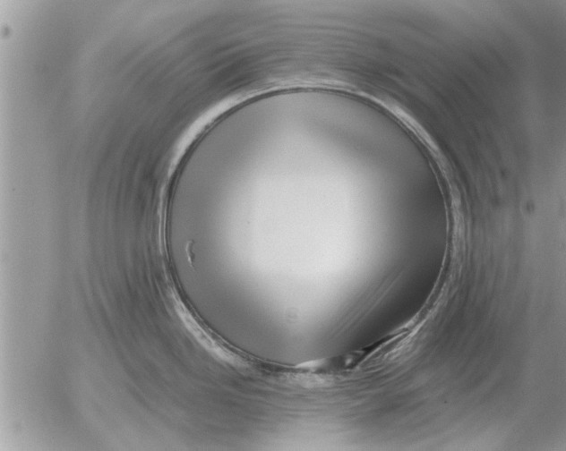 X0000052601246200507292115