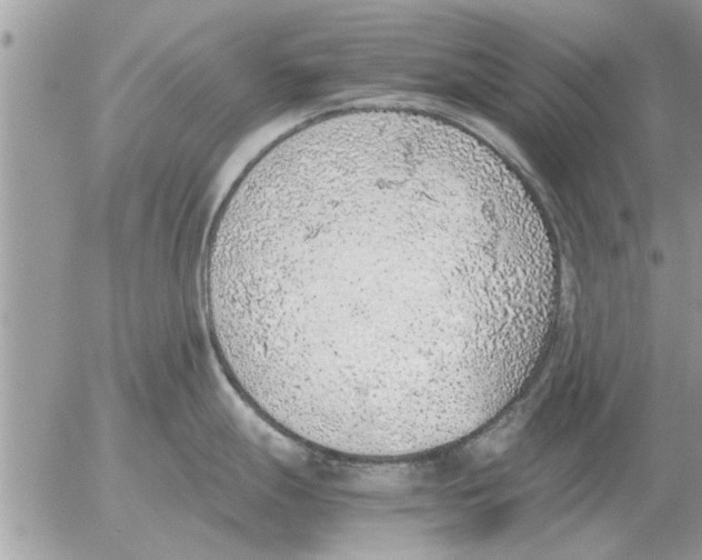 X0000052601247200507292115