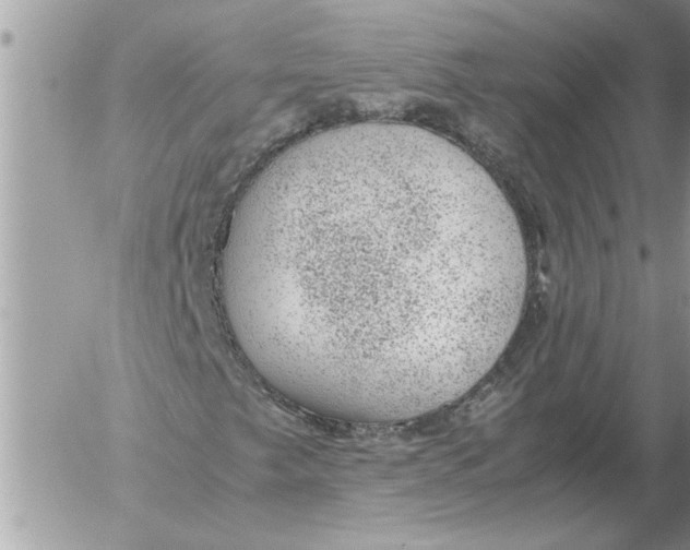 X0000052601249200507292114