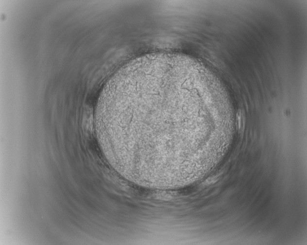 X0000052601251200507292114