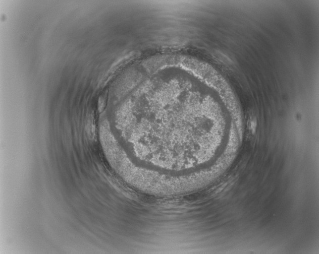 X0000052601252200507292114